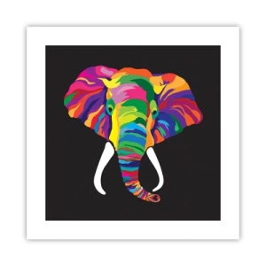 Pôster - O elefante que adorava banhar-se no arco-íris - 40x40 cm