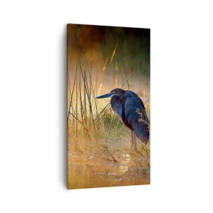 Quadro em tela - Já chega de fotos - 45x80 cm