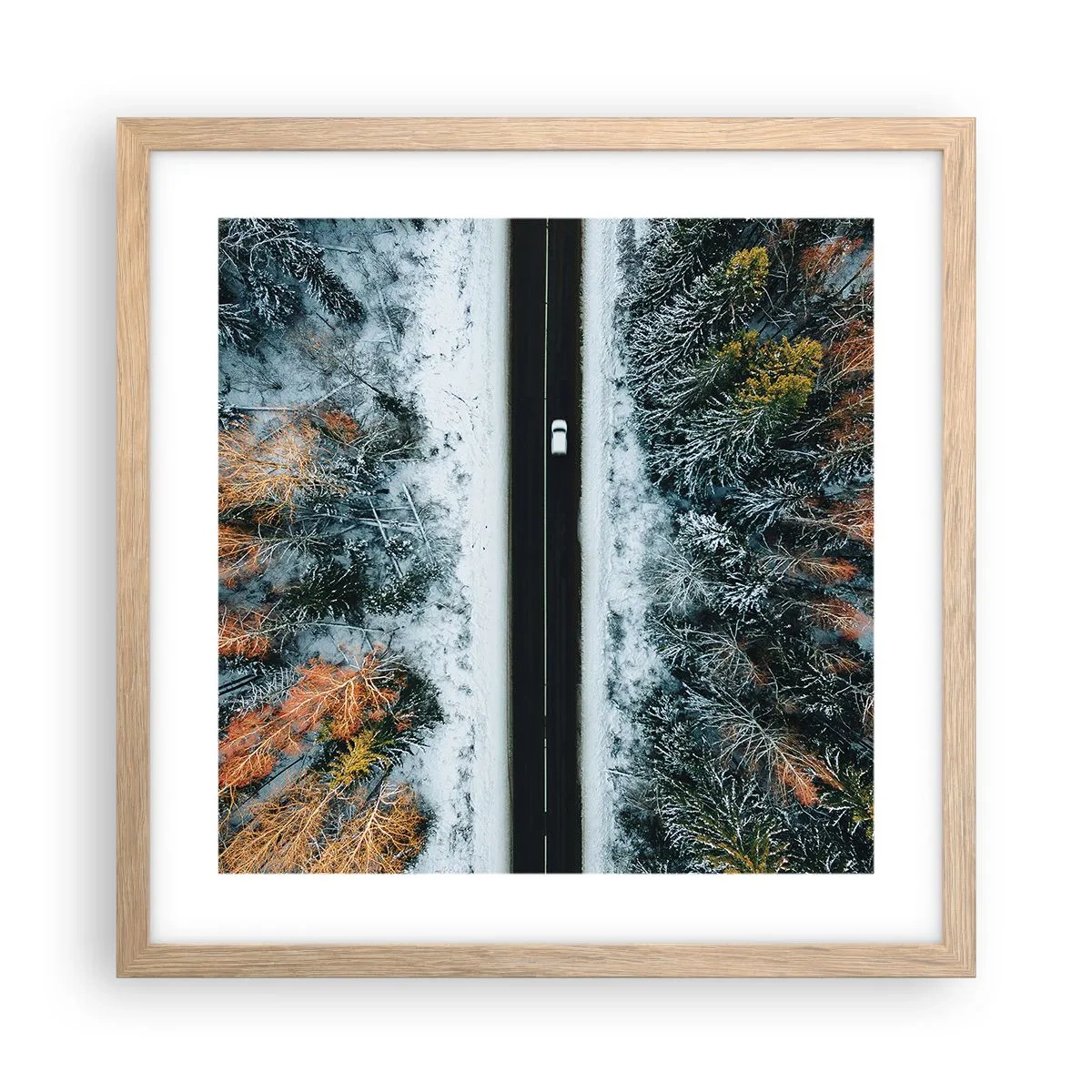 Pôster com moldura de carvalho claro - Cortar a floresta no inverno - 40x40 cm