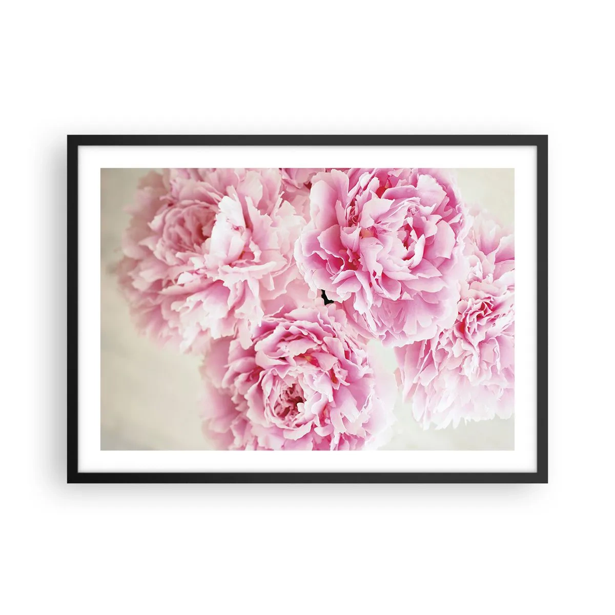 Pôster com moldura preta - Em esplendor rosa - 70x50 cm