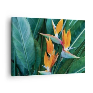 Quadro em tela - Flores exóticas de strelitzia cercadas por folhas verdes - 70x50cm - É uma flor ou é um pássaro? - Decoração de parede moderna para a sala de estar e quarto ARTTOR