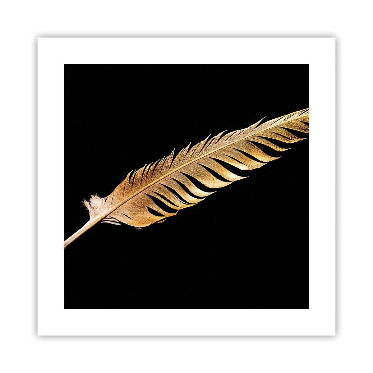 Pôster - É uma pena - 40x40 cm