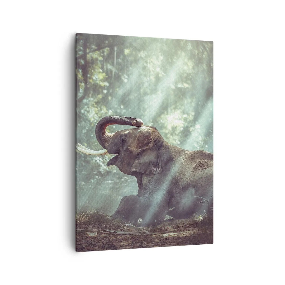 Quadro em tela - Ouça isto... - 50x70 cm