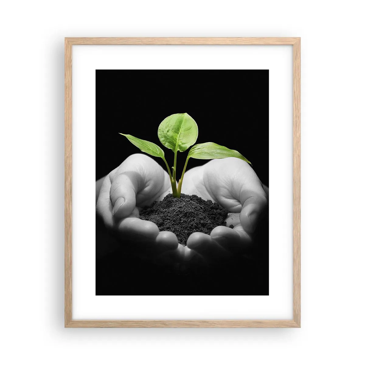 Pôster com moldura de carvalho claro - Eu amo a natureza, eu a protejo - 40x50 cm