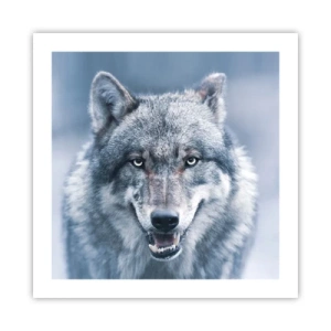 Pôster - Vai aceitar o desafio? - 50x50 cm