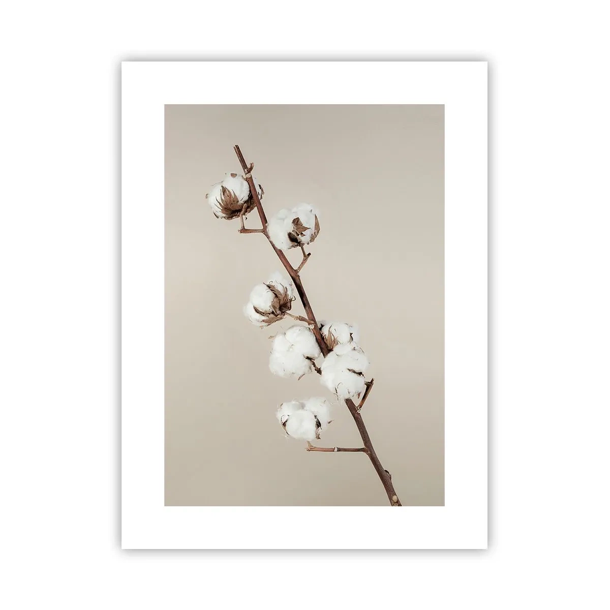 Pôster - Na fonte da suavidade - 30x40 cm