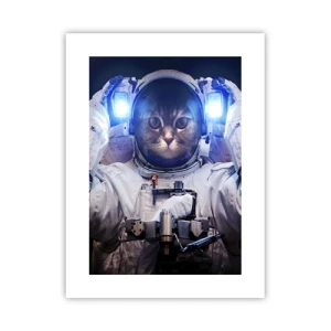 Pôster - Houston, temos um problema - 30x40 cm