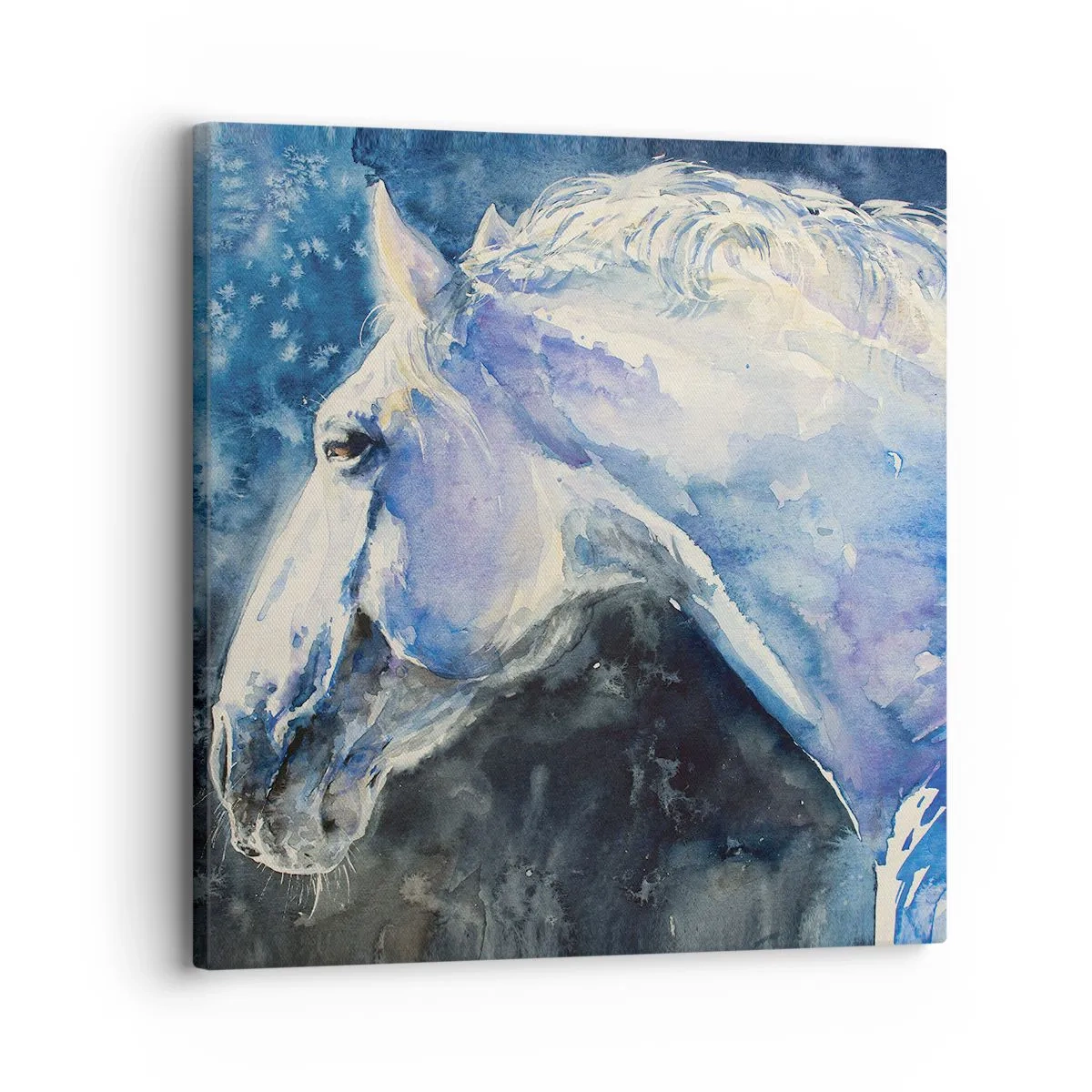 Quadro em tela - Retrato com um brilho azul - 30x30 cm