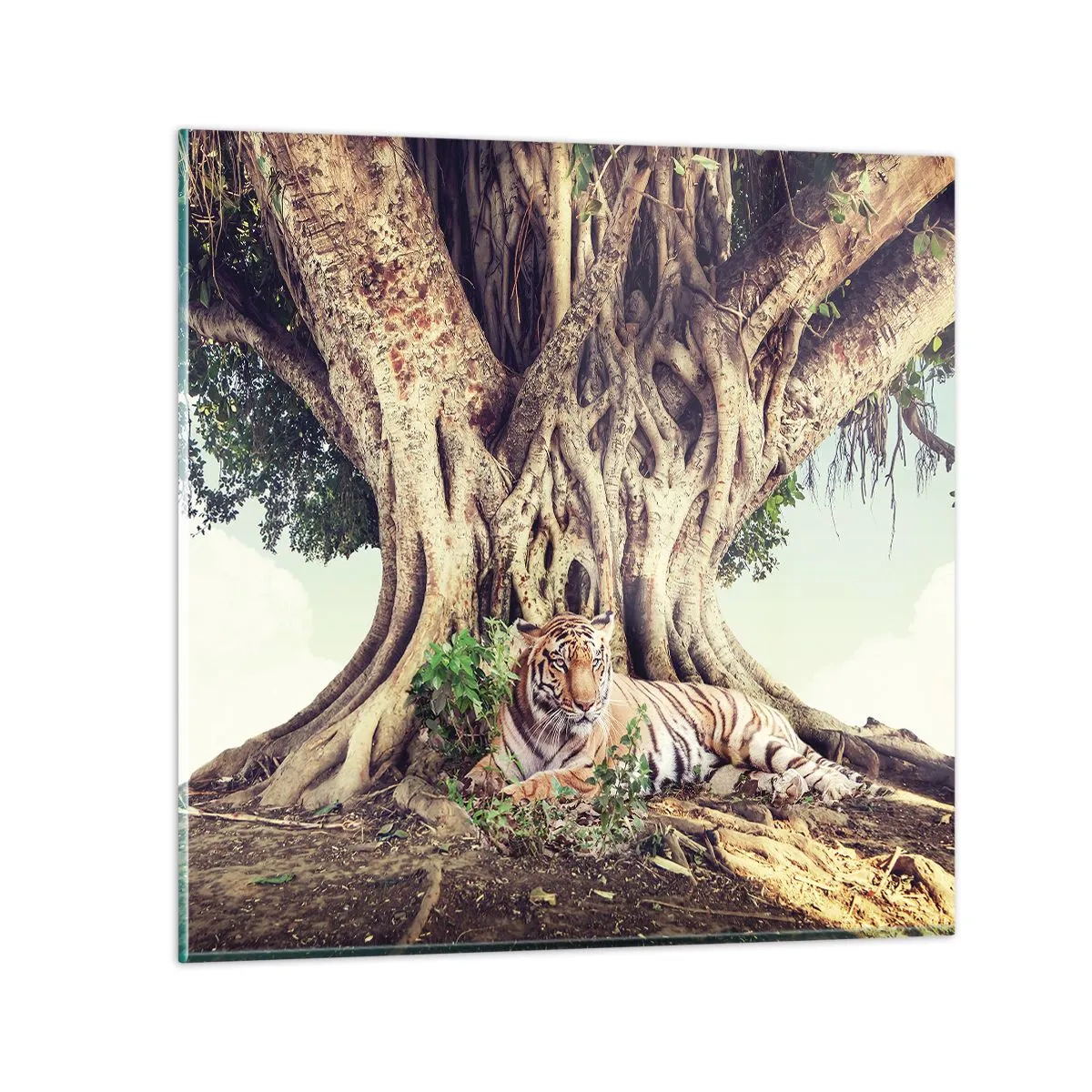 Quadro em vidro - Vista do livro de Gênesis - 50x50 cm