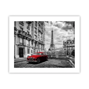 Pôster - Predador na cidade - 50x40 cm