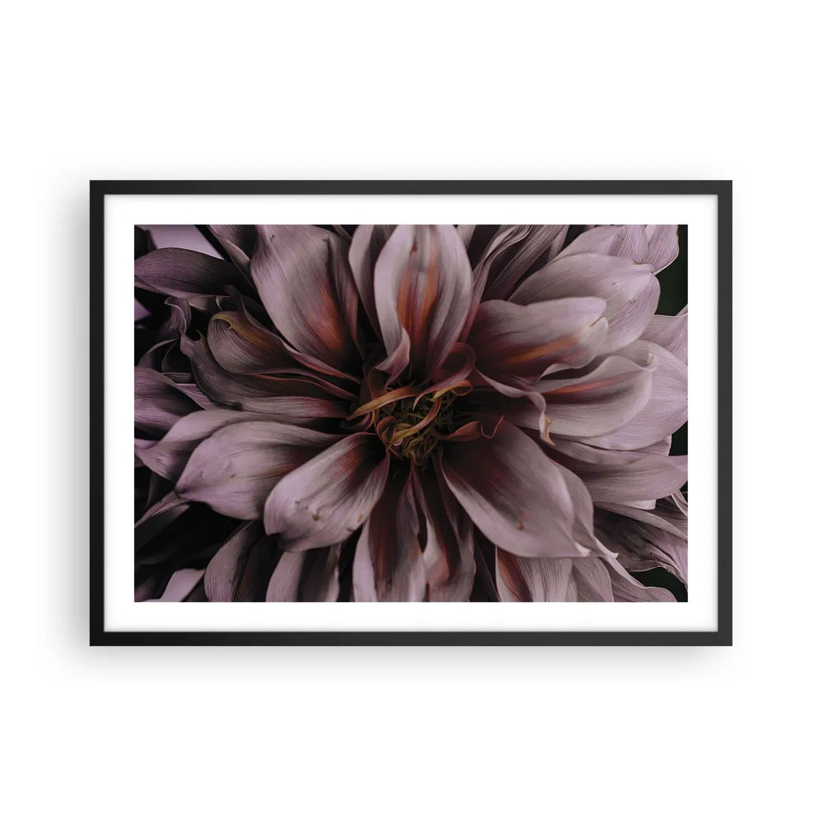 Pôster com moldura preta - Coração de flor - 70x50 cm