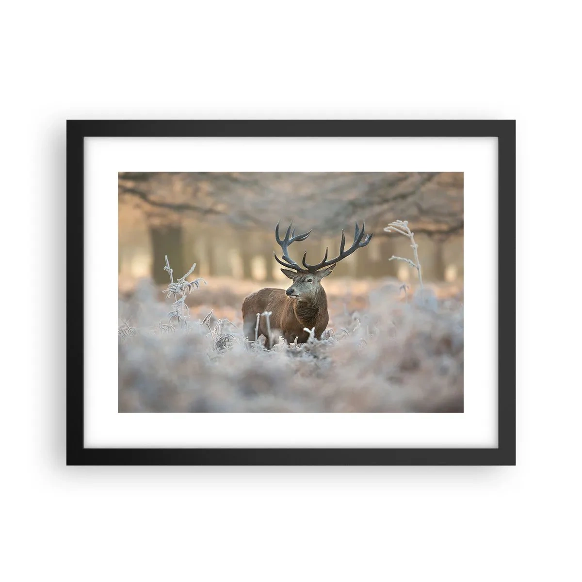 Pôster com moldura preta - Uma manhã fresca - 40x30 cm