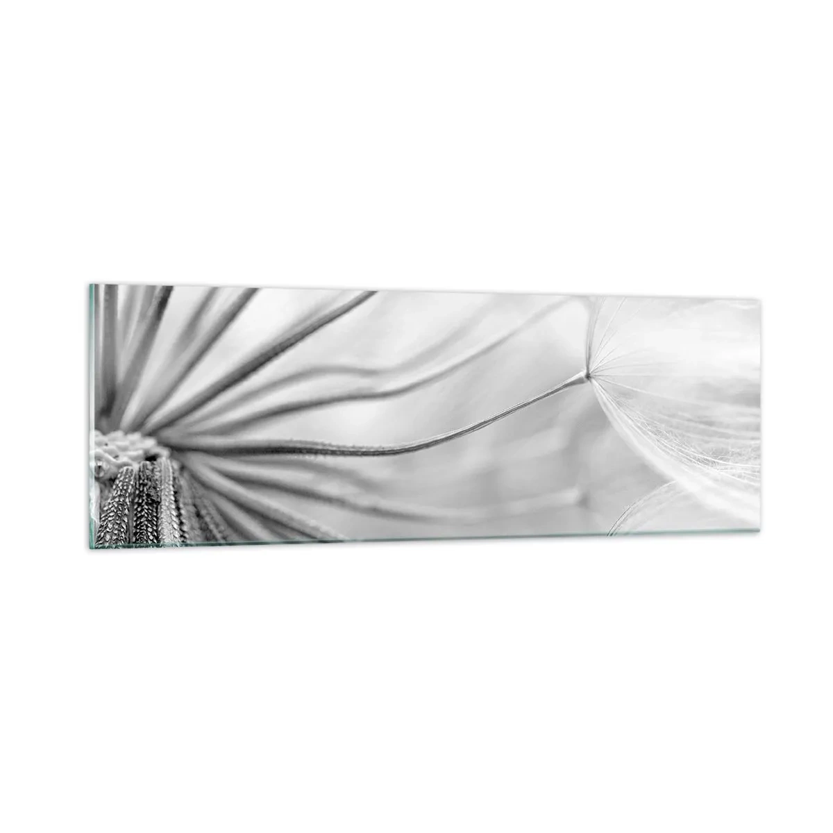 Quadro em vidro - Dentes de leão, pipas - 90x30 cm