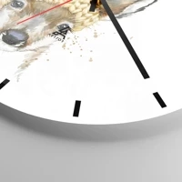 Mostrador com traços