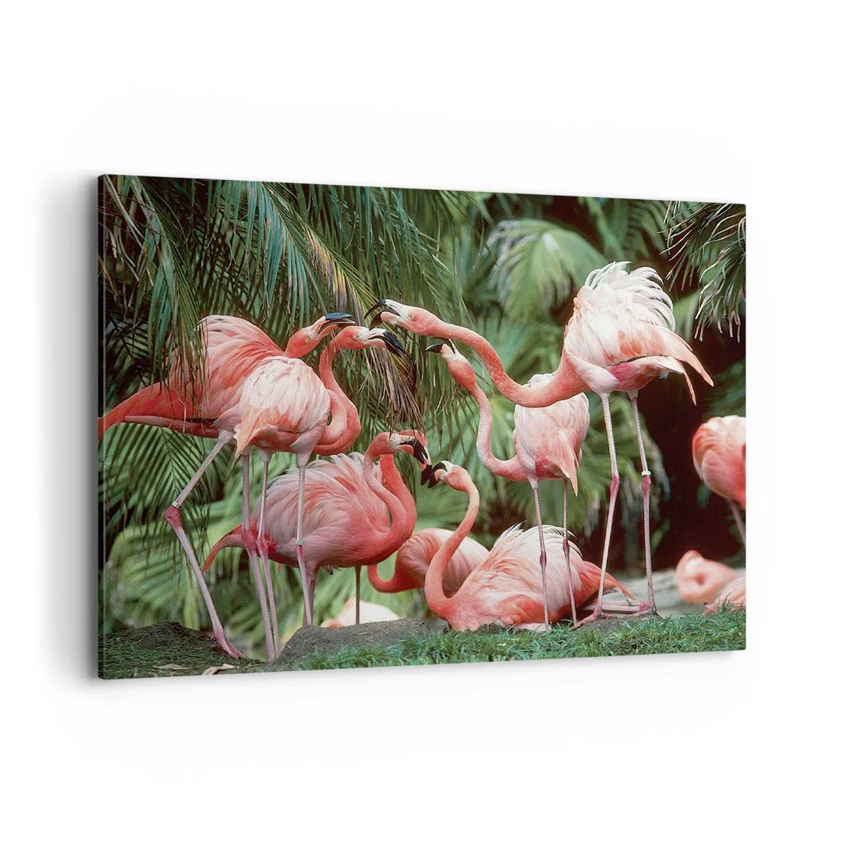 Quadro em tela - Fofocas da tarde - 100x70 cm