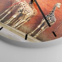 Mostrador com traços