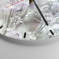 Mostrador com traços