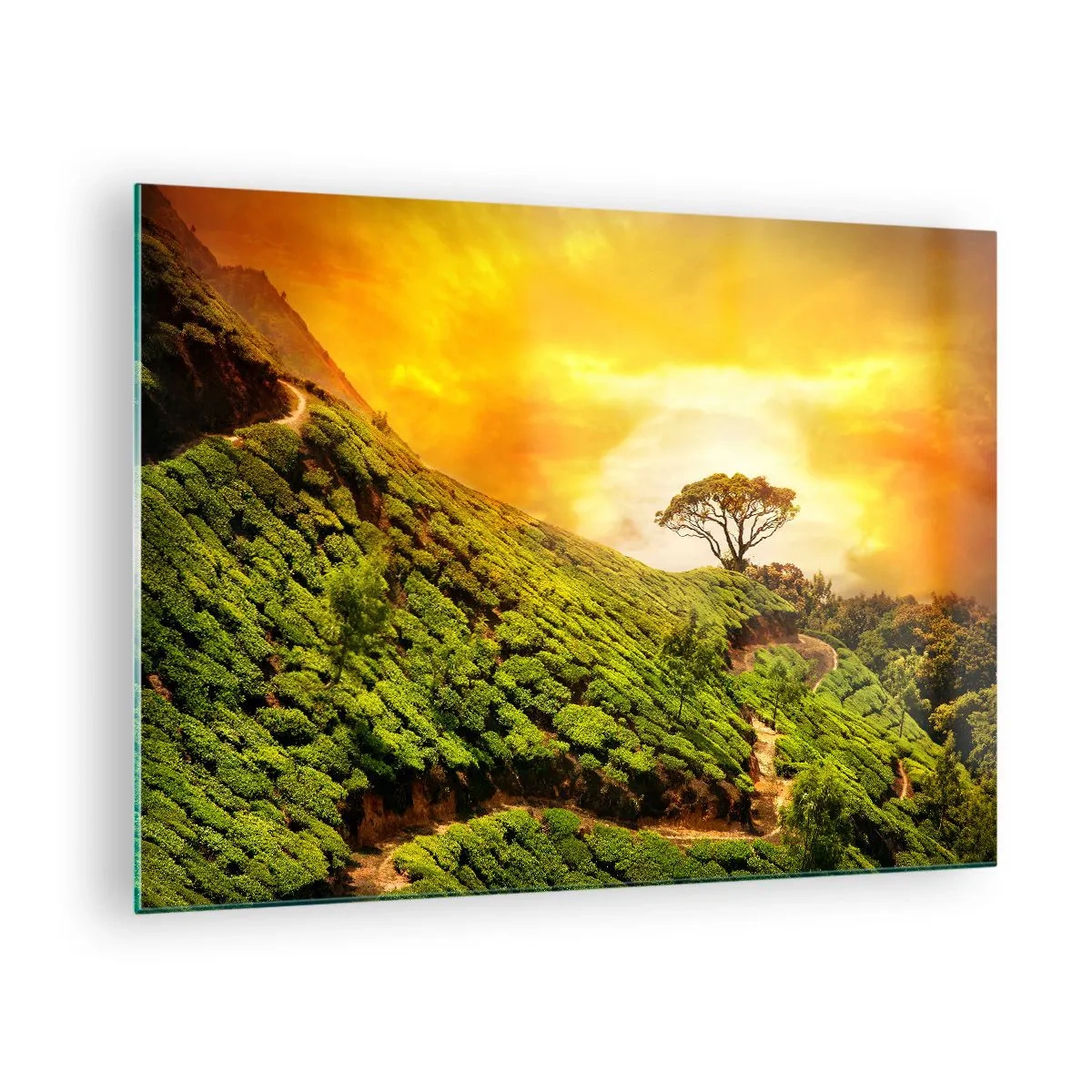 Quadro em vidro - Colinas verdes com uma árvore solitária ao pôr do sol - 70x50cm - Um caminho sinuoso, uma encosta verde - Decoração de parede moderna para a sala de estar e quarto ARTTOR