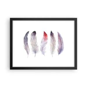 Pôster com moldura preta - Delicadas como uma névoa multicolorida - 40x30 cm