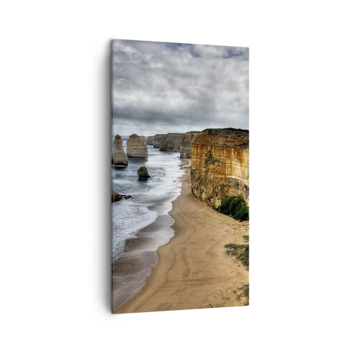 Quadro em tela - Beleza crua - 45x80 cm