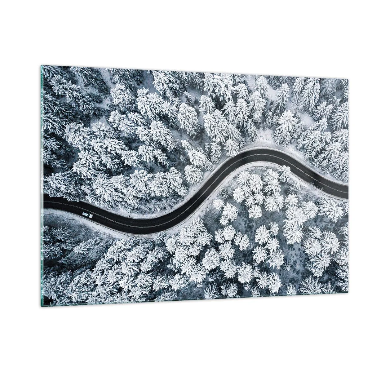 Quadro em vidro - Pelaa floresta no inverno - 120x80 cm
