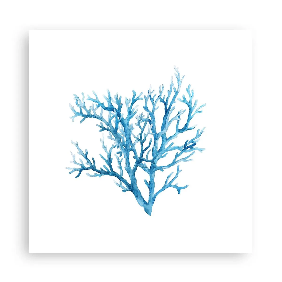 Pôster - Filigrana náutica - 30x30 cm