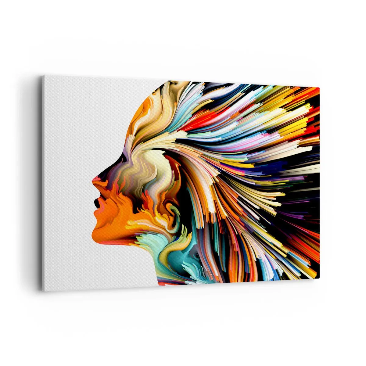 Quadro em tela - Explosão de imaginação - 120x80 cm