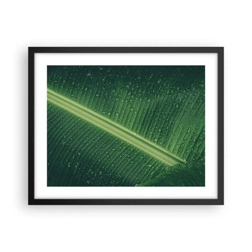 Pôster com moldura preta - A estrutura da vegetação - 50x40 cm