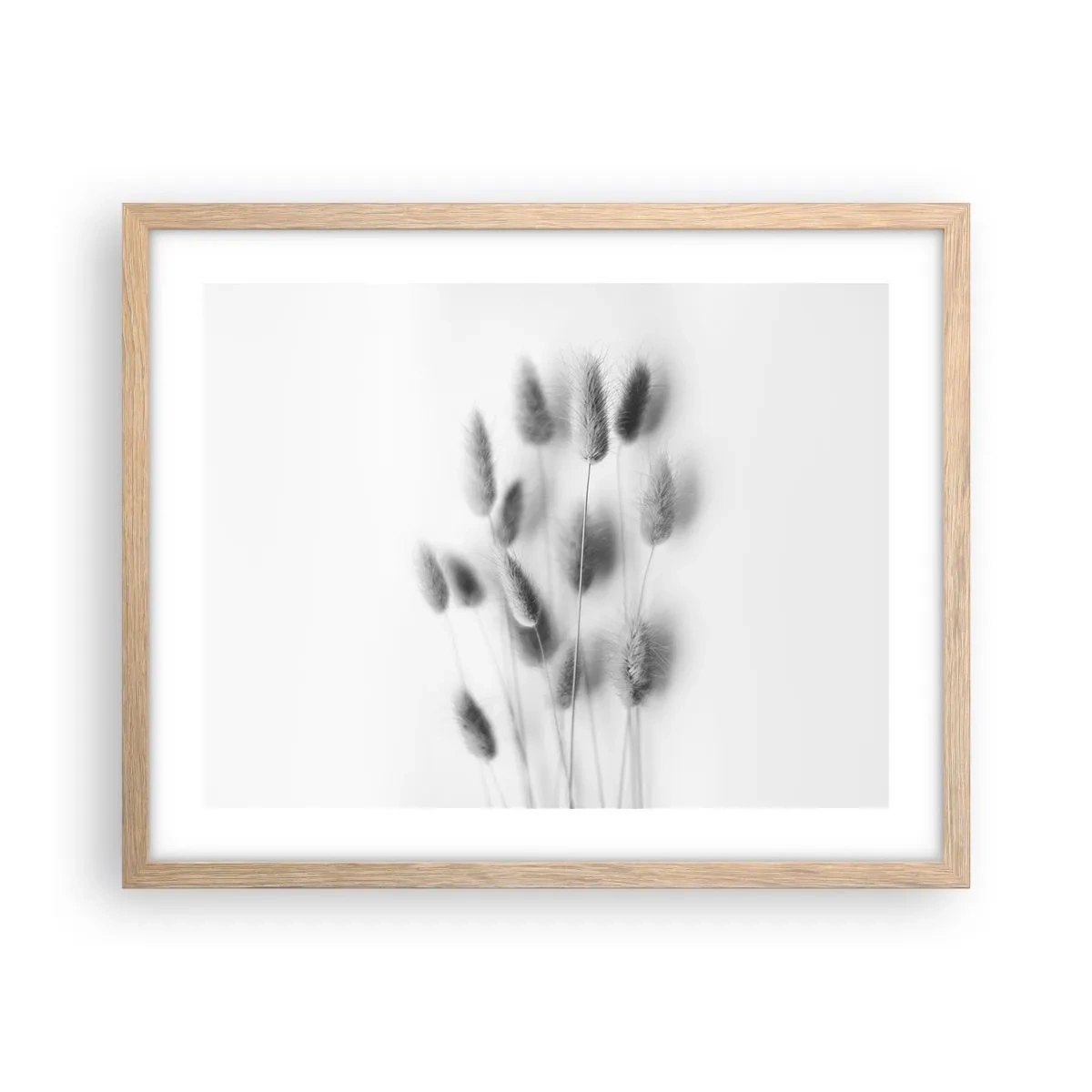 Pôster com moldura de carvalho claro - Grama fofa - 50x40 cm