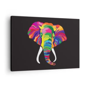Quadro em tela - Uma imagem colorida de um elefante em um fundo preto - 70x50cm - O elefante que adorava banhar-se no arco-íris - Decoração de parede moderna para a sala de estar e quarto ARTTOR