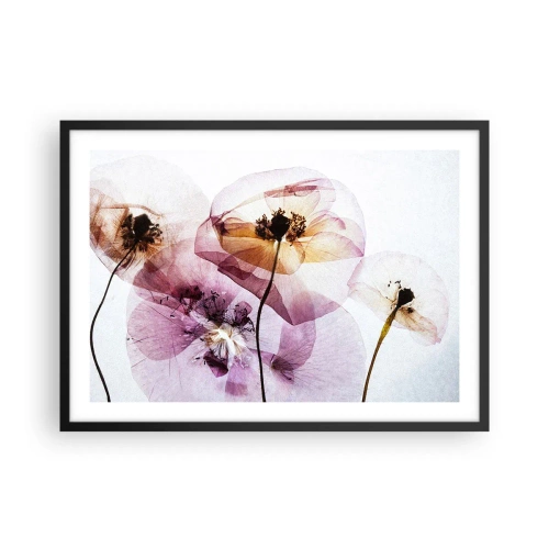 Pôster com moldura preta - A transparência das flores - 70x50 cm