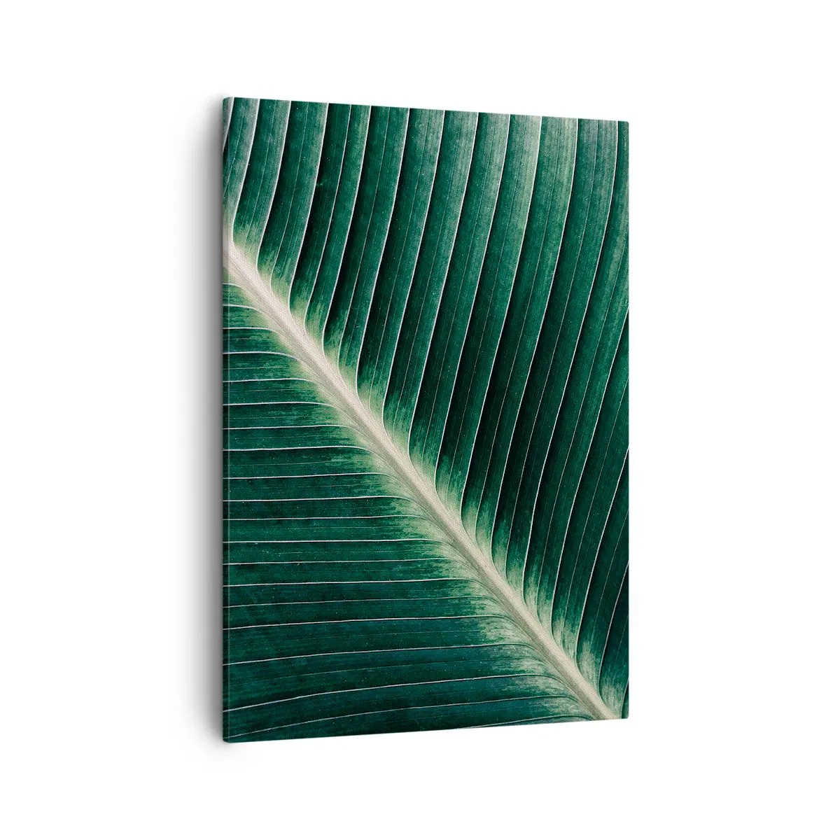 Quadro em tela - O ritmo da natureza - 50x70 cm