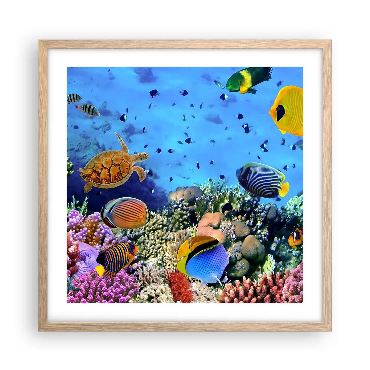 Pôster com moldura de carvalho claro - E o que sabemos sobre a vida... - 50x50 cm