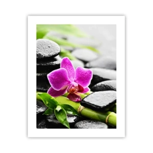 Pôster - Calmo equilíbrio - 40x50 cm