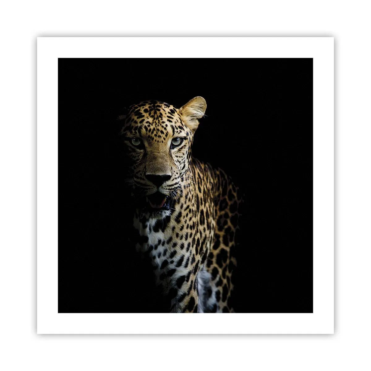 Pôster - Beleza escura - 50x50 cm