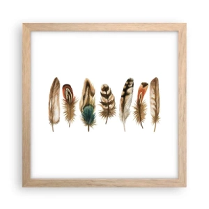 Pôster com moldura de carvalho claro - Variações de penas - 30x30 cm