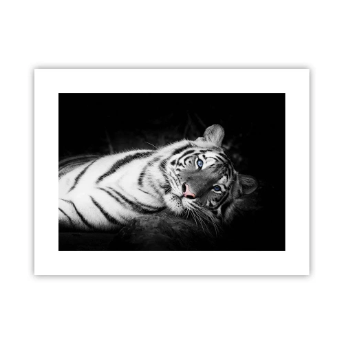 Pôster - Selvagem e tranquilo - 40x30 cm