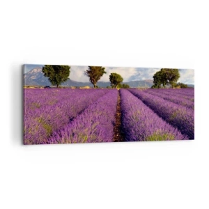 Quadro em tela - Prados de lavanda - 100x40 cm