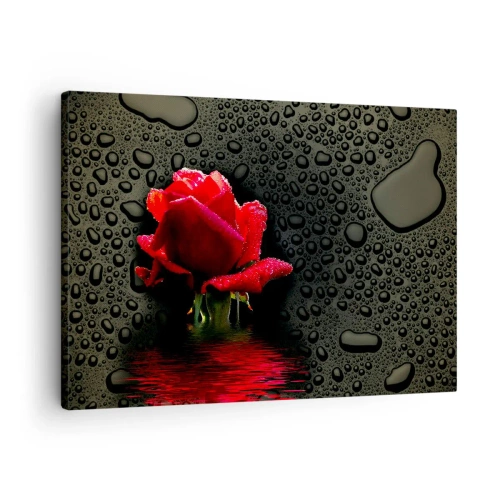Quadro em tela - Rosa vermelha com gotas de água em um fundo escuro - 70x50cm - Vermelho e preto - Decoração de parede moderna para a sala de estar e quarto ARTTOR