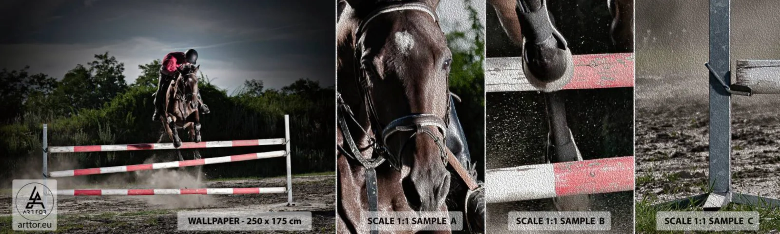 Amostra de papel de parede Premium Sand - Juntos pela vitória - Animais, Cavalo, Esporte - 100x30 cm