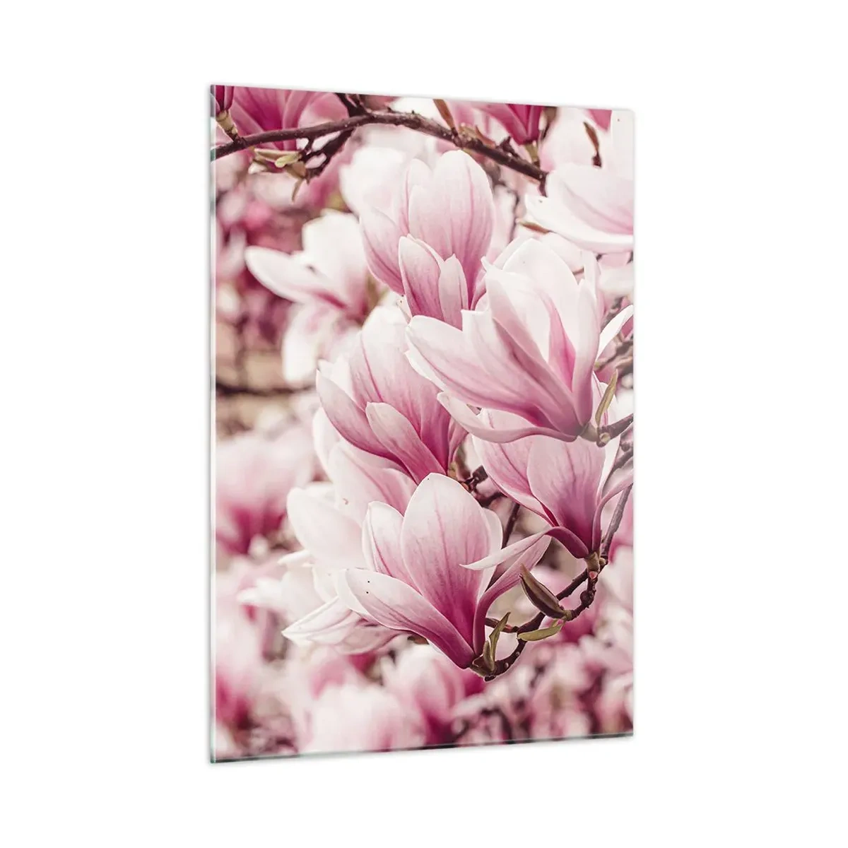 Quadro em vidro - A primavera é rosa - 50x70 cm