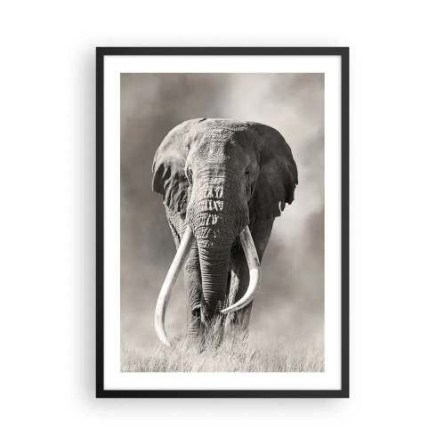 Pôster com moldura preta - Retrato monocromático de um elefante majestoso - 50x70cm - Patriarca africano - Decoração de parede moderna para a sala de estar e quarto ARTTOR