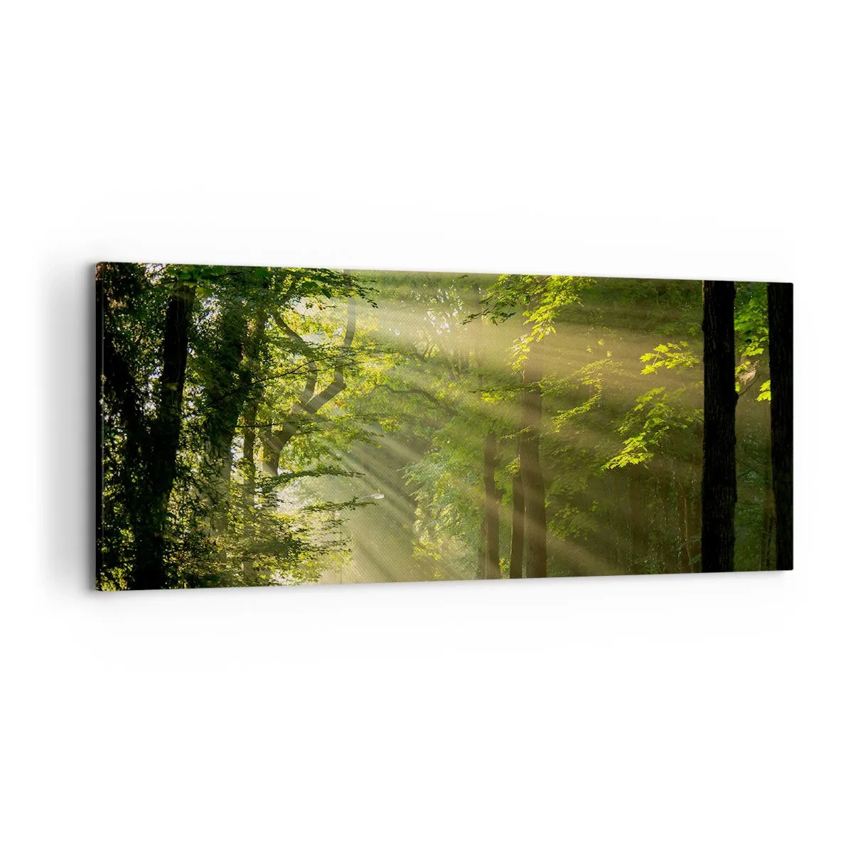 Quadro em tela - Momento florestal - 120x50 cm