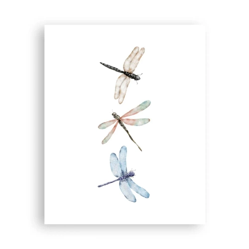 Pôster - Libélulas sem peso - 40x50 cm