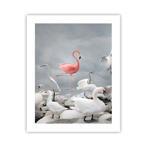 Pôster - Como vim parar aqui? - 40x50 cm