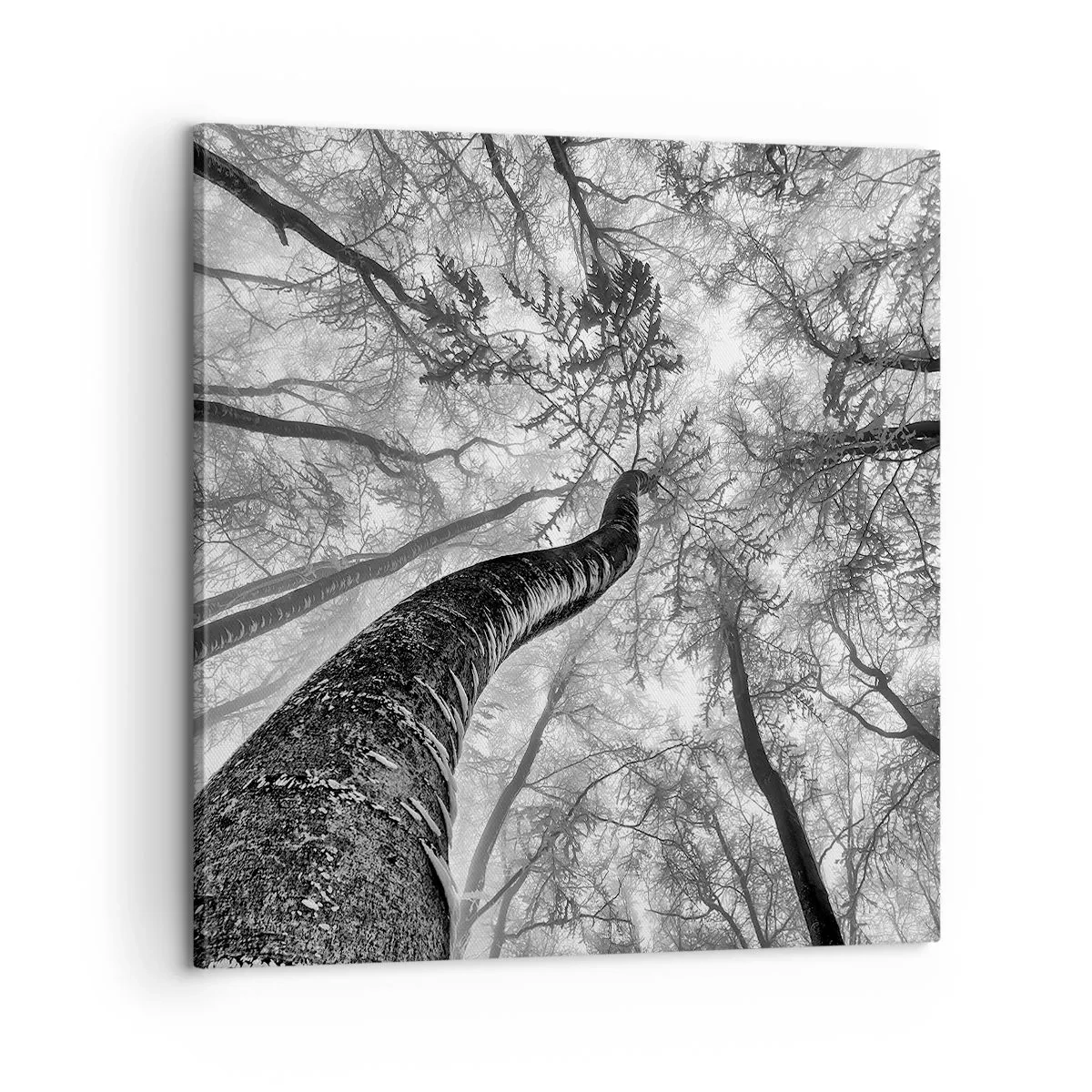 Quadro em tela - Corrida até a luz - 60x60 cm