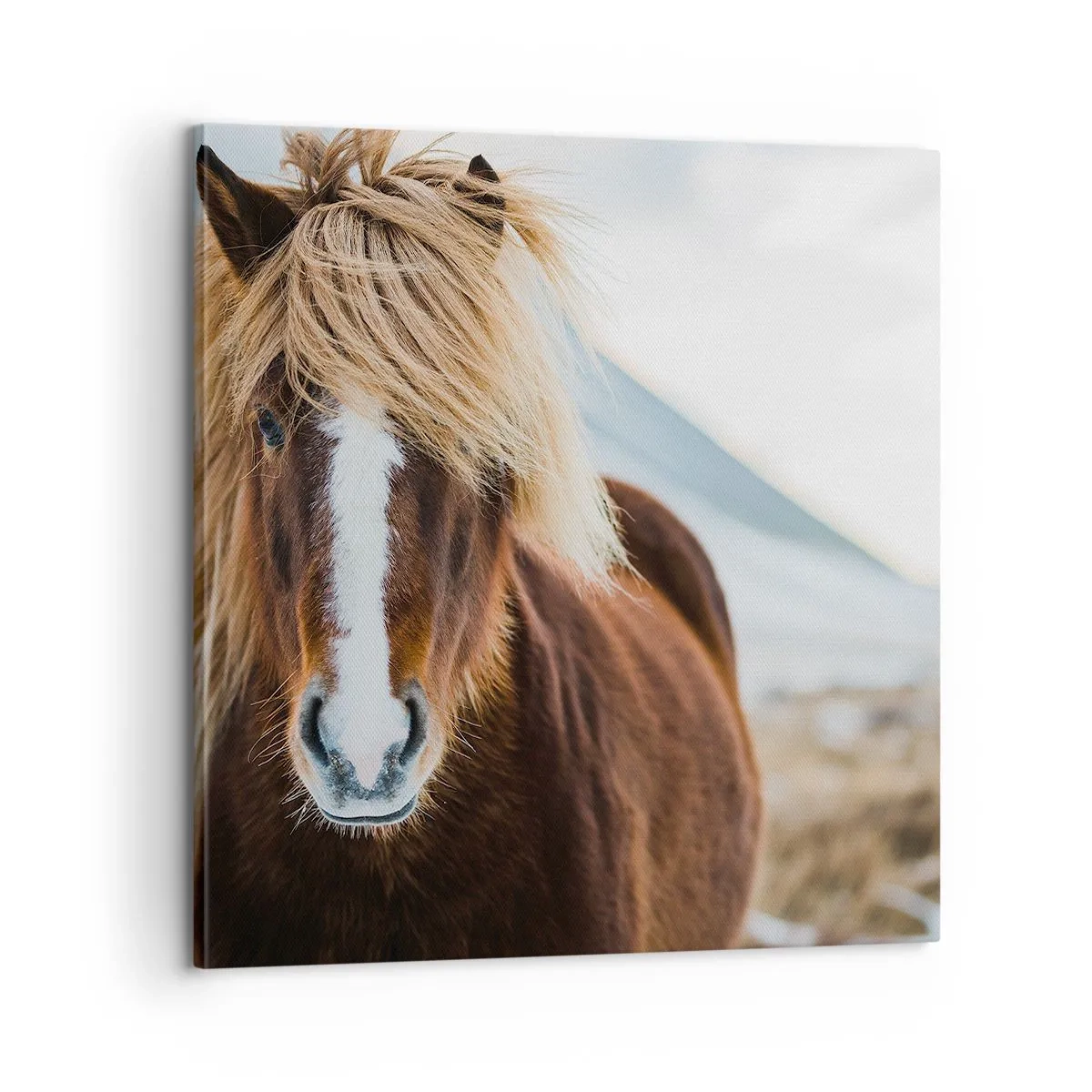 Quadro em tela - Sentes a liberdade? - 60x60 cm