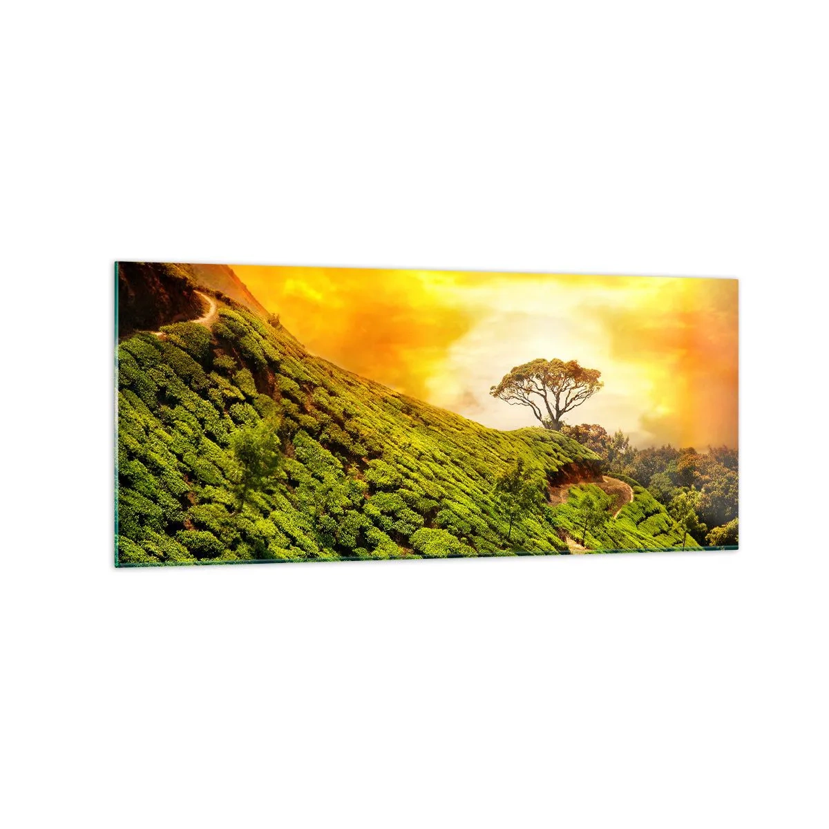 Quadro em vidro - Um caminho sinuoso, uma encosta verde - 120x50 cm