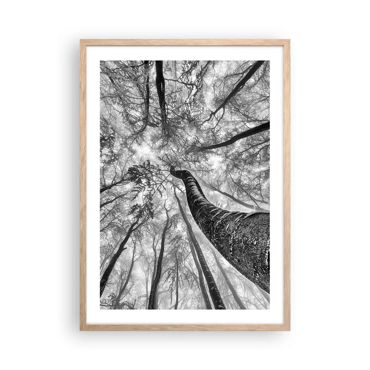 Pôster com moldura de carvalho claro - Corrida até a luz - 50x70 cm