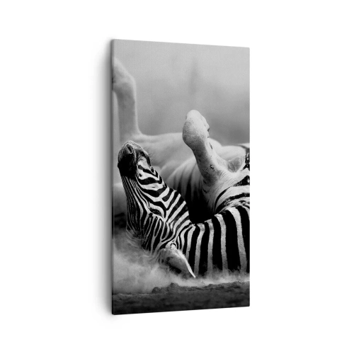 Quadro em tela - Vai dar zebra - 45x80 cm